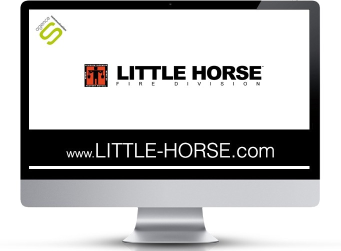 Site wordpress multilingue