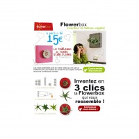 EMAIL-1-FLOWERBOX