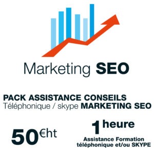 assistance-formation-marketing-seo-1h